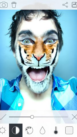 Измени Лицо на Видео для Android — скриншот 2