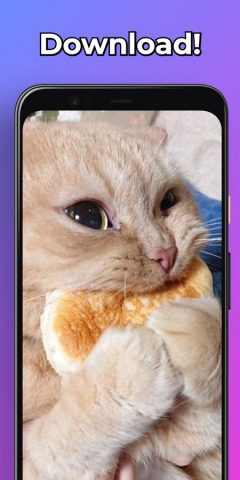 Мемы Обои Смешные Картинки HD для Android — скриншот 3