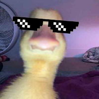 Смешные Обои для Android