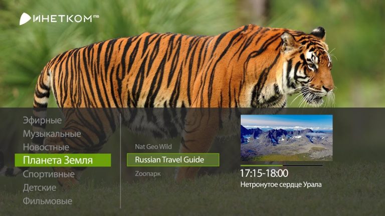 Инетком.ТВ для AndroidTV для Android — скриншот 4