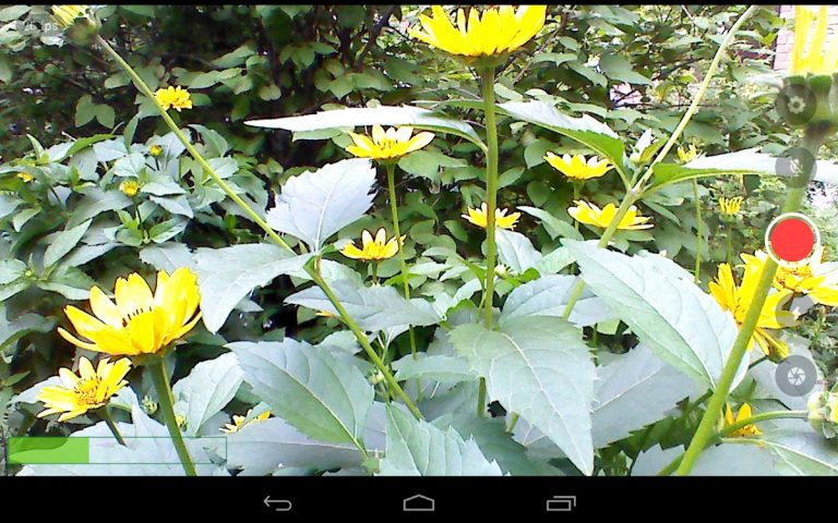 Larix Broadcaster: Live Stream для Android — скриншот 3