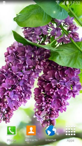Сирень Живые Обои для Android — скриншот 1