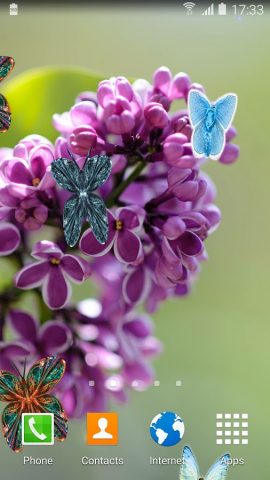 Сирень Живые Обои для Android — скриншот 3