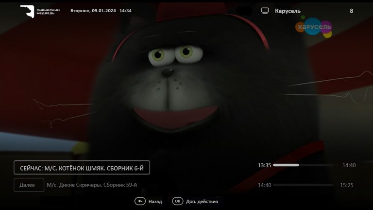 Медведь ТВ для Android — скриншот 2