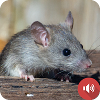 звуки мыши и крысы для Android