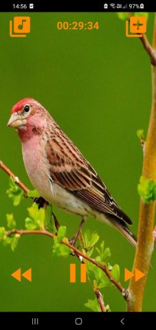 Звуки природы для сна для Android — скриншот 3