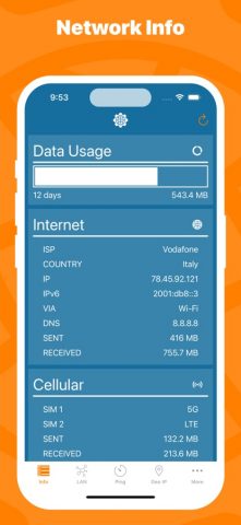 Network Utility для iOS — скриншот 2