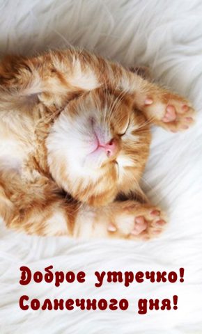 Открытки Доброе утречко для Android — скриншот 1