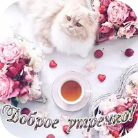 Открытки Доброе утречко для Android