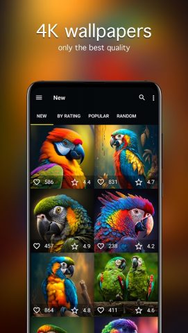 Обои с попугаями | Попугаи для Android — скриншот 2