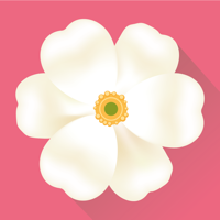 Женский календарь — месячные для iOS