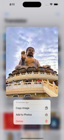 Pho2 — Переводчик Фото для iOS — скриншот 4