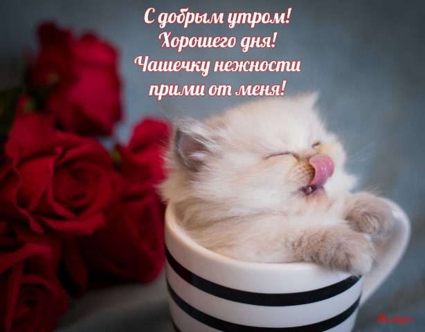 Прикольные с добрым утром для Android — скриншот 2