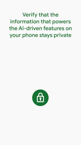 Private Compute Services для Android — скриншот 1