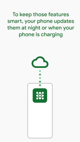 Private Compute Services для Android — скриншот 3