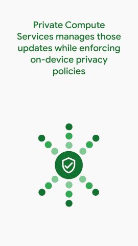 Private Compute Services для Android — скриншот 4