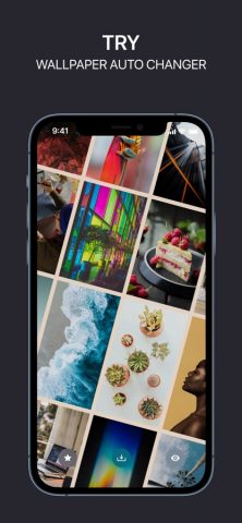 RocknWall-Живые обои на айфон для iOS — скриншот 1