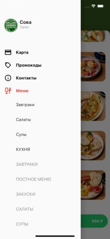 Сова для iOS — скриншот 1