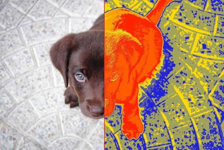 Thermal scanner camera VR для Android — скриншот 3