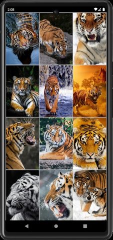 Тигры обои для Android — скриншот 5