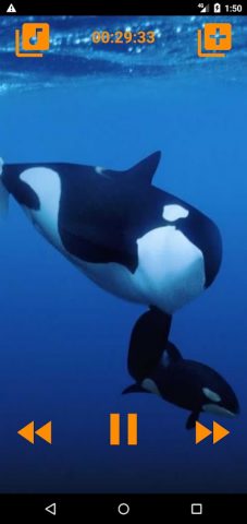 Киты песни спать для Android — скриншот 4