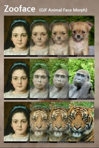 Zooface — GIF Animal Morph для Android — скриншот 2