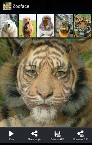 Zooface — GIF Animal Morph для Android — скриншот 3