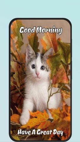 Good Morning Cat для Android — скриншот 4