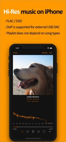 scylla — Hi-Res Music Player для iOS — скриншот 1