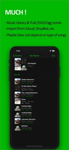 scylla — Hi-Res Music Player для iOS — скриншот 3
