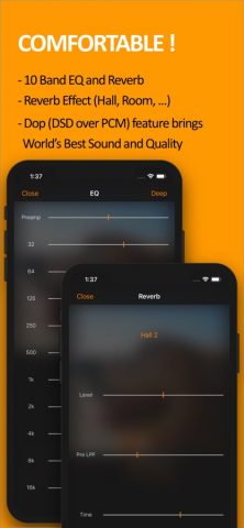 scylla — Hi-Res Music Player для iOS — скриншот 4