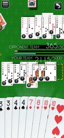 Canasta — The Card Game для iOS — скриншот 3