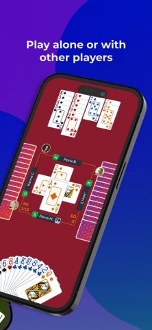 Fun Bridge для iOS — скриншот 2