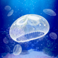 Jellyfish Aquarium — Pet Game для iOS