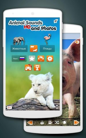 160+ Звуки животных для Android — скриншот 1