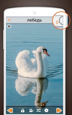 160+ Звуки животных для Android — скриншот 2