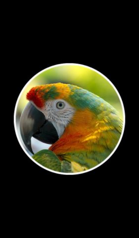 22 Подсказки: Игра в слова для Android — скриншот 2