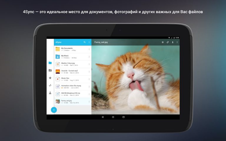 4Sync для Android — скриншот 5