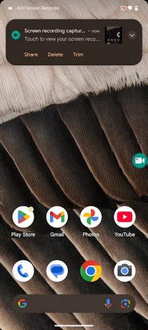 ADV Screen Recorder — скриншот 4