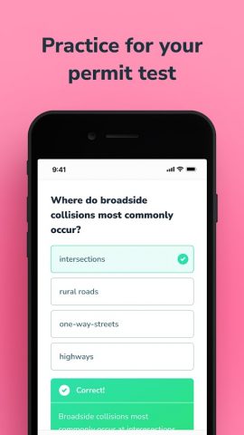 Aceable Drivers Ed & Test Prep для Android — скриншот 3