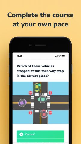 Aceable Drivers Ed & Test Prep для Android — скриншот 4