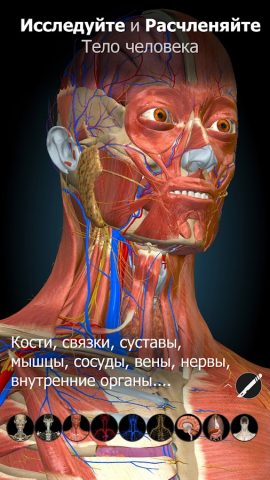 Anatomy Learning — 3D анатомия для Android — скриншот 1