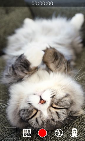 Бесшумная Видеокамера для Android — скриншот 2