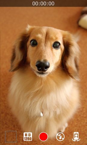 Бесшумная Видеокамера для Android — скриншот 4