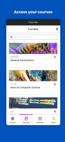Blackboard для Android — скриншот 2