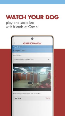 Camp Bow Wow для Android — скриншот 5
