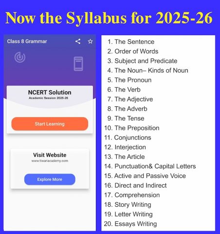 Class 8 English Grammar Book для Android — скриншот 1