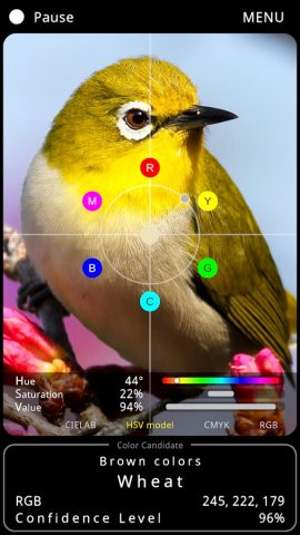 Color Info Cam для Android — скриншот 1