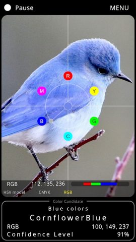 Color Info Cam для Android — скриншот 2