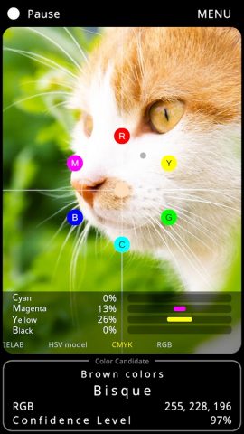 Color Info Cam для Android — скриншот 4